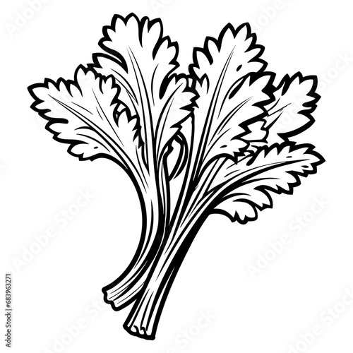 Simple Hand Drawn Illustration of Celery. SVG Vector