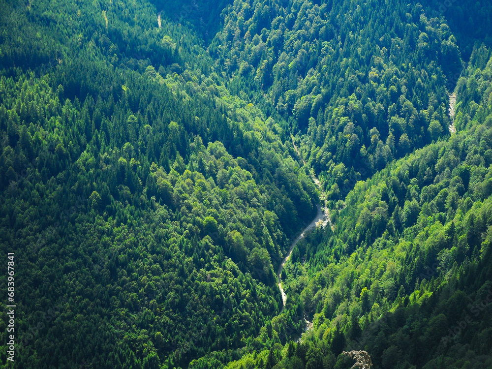 Fototapeta premium Aerial drone view of a forest gravel road winding along mountain sides. beech forests and a small stream. Capatanii Mountains, Romania. 