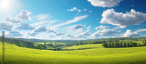 Green field of spring grass in blue sky at sunny day. AI generated image © MUCHIB
