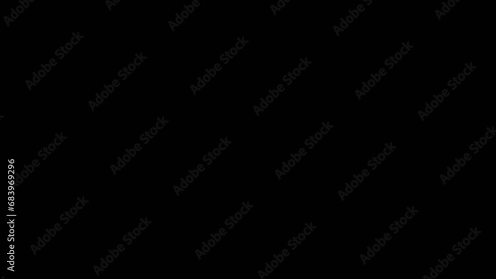 Animation of Neon Lights Counting Down for 2024 Animation of Neon Lights Counting Down for 2024