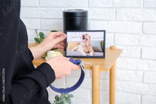 Woman near table with picture of dog and mortuary urn in room, closeup. Pet funeral