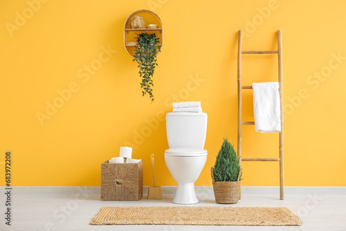 Stylish interior of restroom with potted plant and toilet paper rolls photo