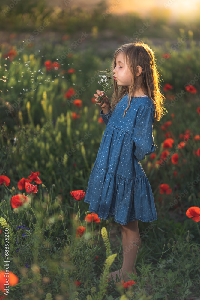 little girl in blue dress on sunset ni poppy seed red flowers green grass summer field bloom cute alone