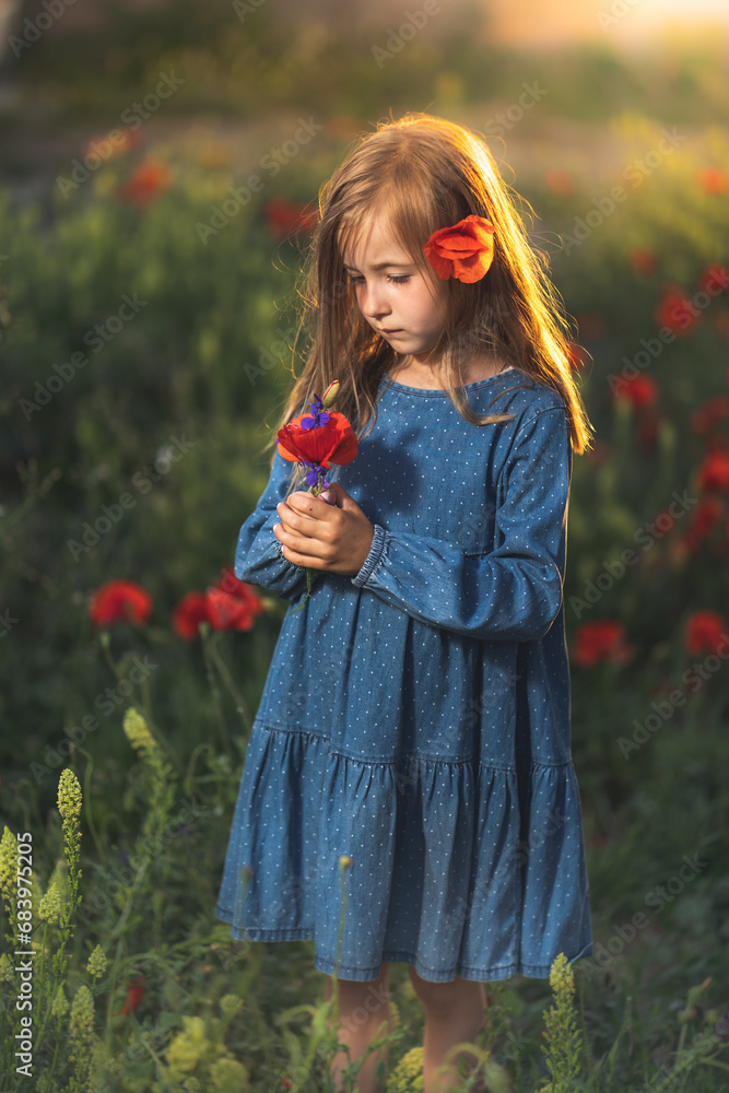 little girl in blue dress on sunset ni poppy seed red flowers green grass summer field bloom cute alone