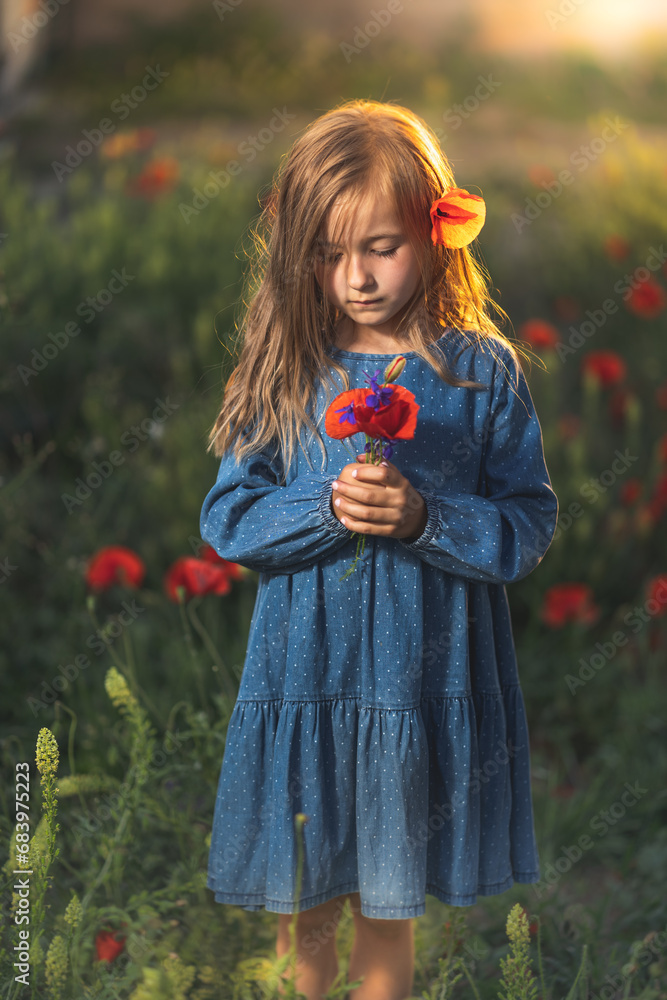 little girl in blue dress on sunset ni poppy seed red flowers green grass summer field bloom cute alone