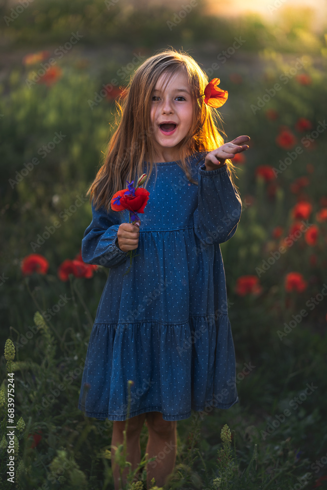little girl in blue dress on sunset ni poppy seed red flowers green grass summer field bloom cute alone