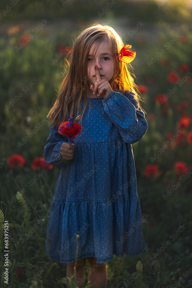 little girl in blue dress on sunset ni poppy seed red flowers green grass summer field bloom cute alone
