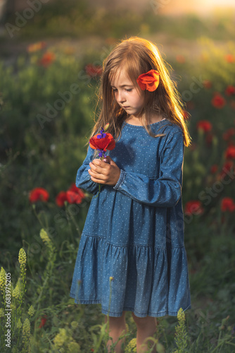 little girl in blue dress on sunset ni poppy seed red flowers green grass summer field bloom cute alone  