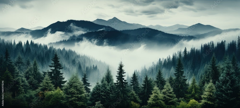 Misty Mountain Landscape with Dense Coniferous Forest