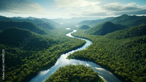 a river running through a forest photo