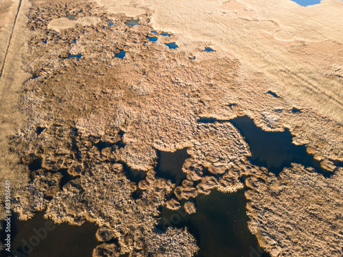 Aerial Autumn view of Dragoman marsh, Bulgaria photo