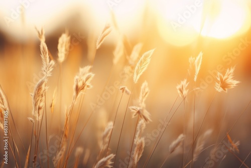 Experience the Serenity: Majestic Morning Sunrise Over a Vibrant Grass Field Generative AI