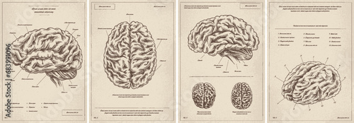 Medical vintage posters vector set