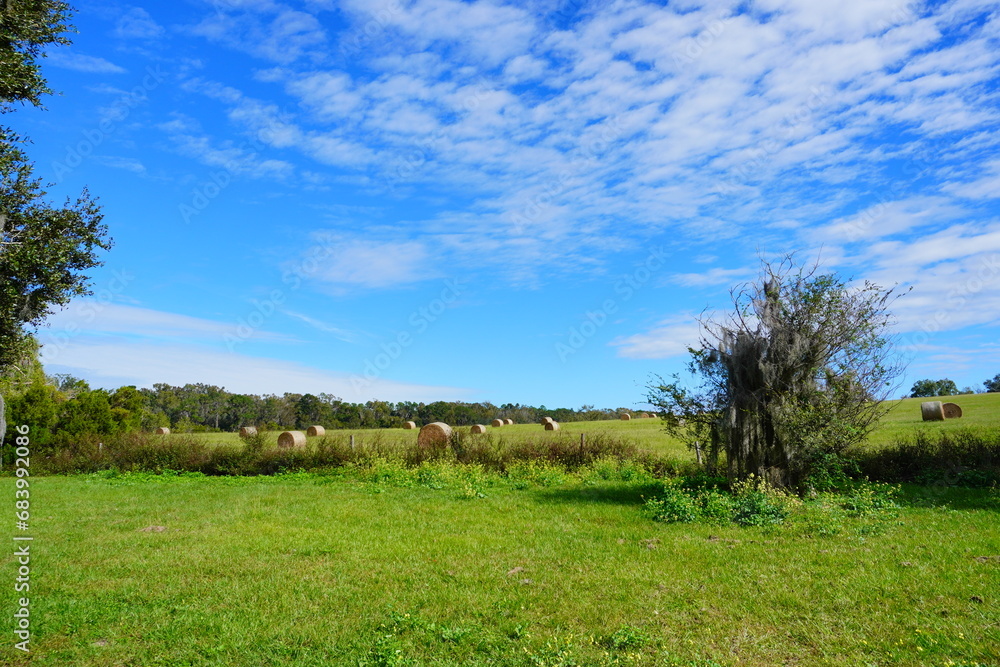 Round Hay stack in a florida farm and beautiful cloud Round Hay stack in a florida farm and beautiful cloud