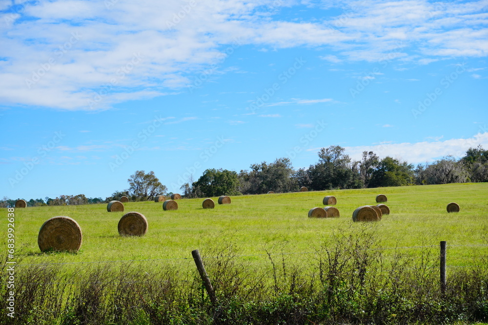 Fototapeta premium Round Hay stack in a florida farm and beautiful cloud 