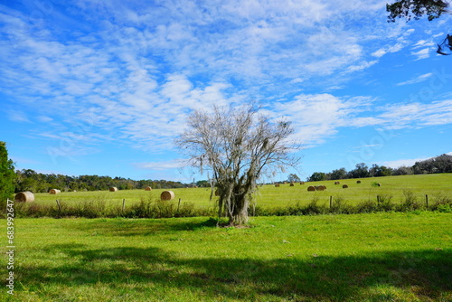 Round Hay stack in a florida farm and beautiful cloud