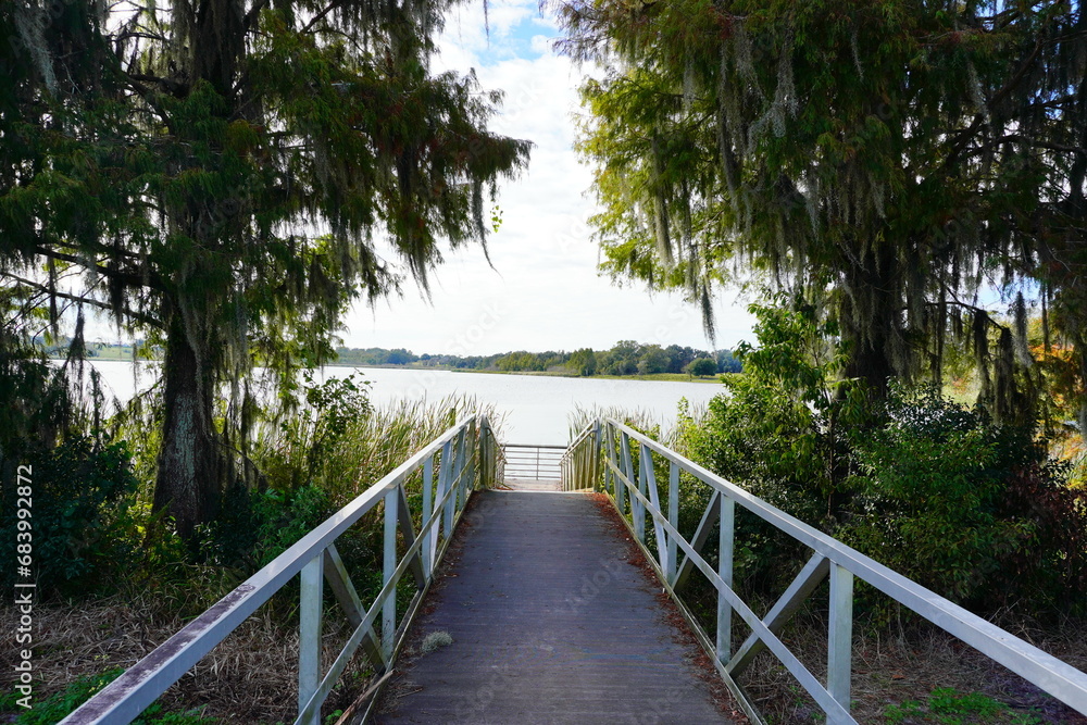 Fototapeta premium Middle lake park at Wesley Chapel, close to Tampa in Florida