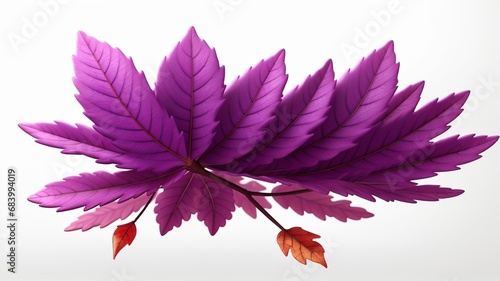 Colorful flowers with leaves floral Clipart, high quality resolution, beautiful flowers, 3d design.