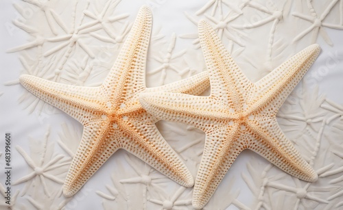 Stunning Dual Starfish  An Exquisite Capture in Pure White Sands Generative AI