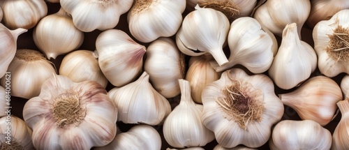 Heap of organic raw garlic full frame background banner photo