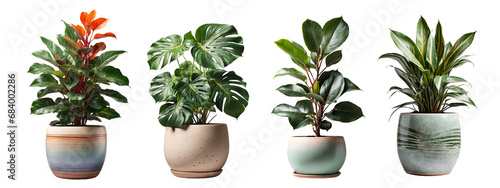 Collection of indoor house plants in ceramic pots, isolated on a transparent background, generative AI