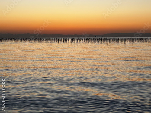 海苔養殖の支柱が並ぶ知多半島の海と夕焼