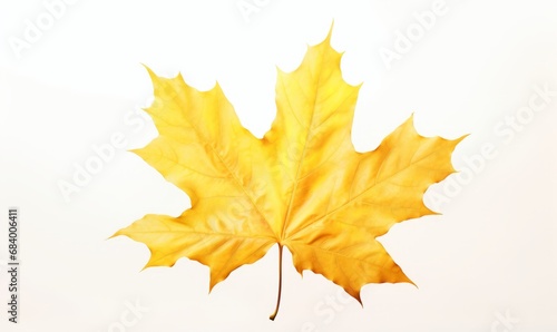 Vivid Isolated Yellow Maple Leaf  A Symphonic Display of Autumn s Grandeur Generative AI