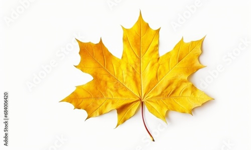Stunning Solo Display: Captivating Yellow Maple Leaf Isolated on White Generative AI