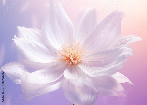 Enchanting White Bloom with Radiant Yellow Accents  A Floral Masterpiece Generative AI