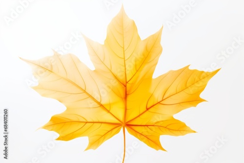 Stunning Close-Up  The Unseen Beauty of a Yellow Maple Leaf - A Colorful Isolated Masterpiece Generative AI