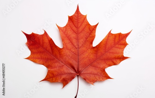 Exquisite Solitude: A Stunning Isolated Maple Leaf on White Backdrop Generative AI