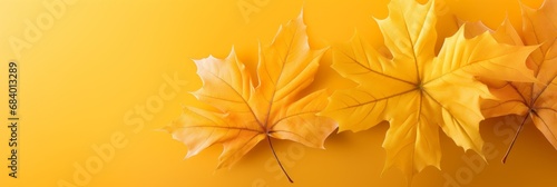 Stunning Display of Autumn: Maple Leaves on a Vibrant Yellow Canvas Generative AI