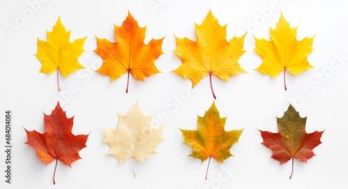 Discover the Vibrant Spectrum of Autumn: An Intricate Exploration of Colored Maple Leaves Generative AI