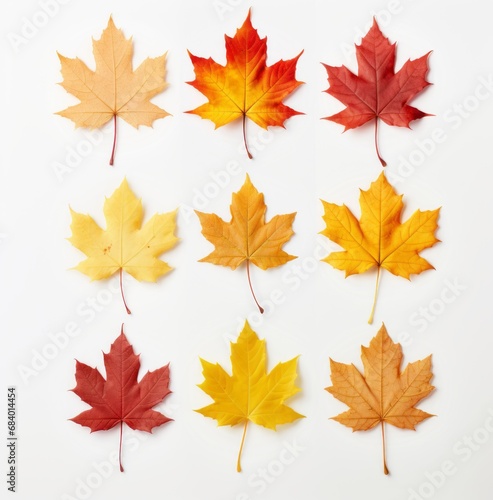 Autumn s Artistry  The Mesmerizing Color Palette of Maple Leaves Generative AI