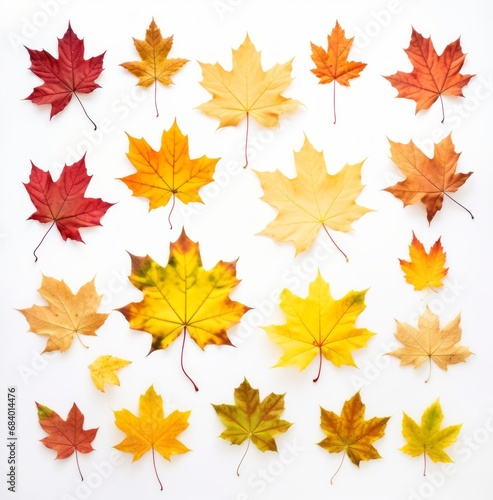 Experience the Beauty: Vibrant Colors of Autumn through Maple Leaves Generative AI