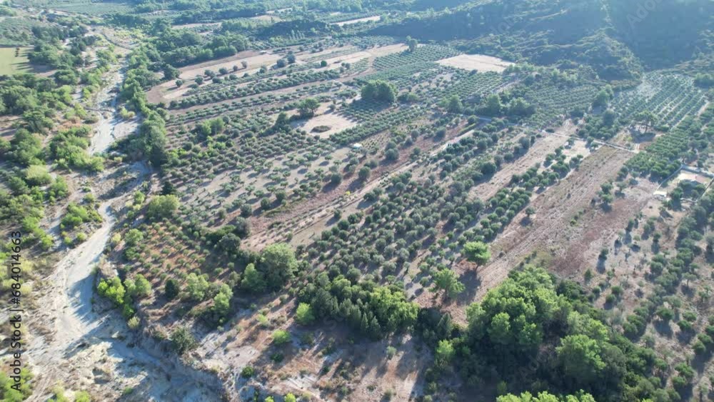 A Bird's Eye View of the Lush Tree Canopy in Greece A Bird's Eye View of the Lush Tree Canopy in Greece