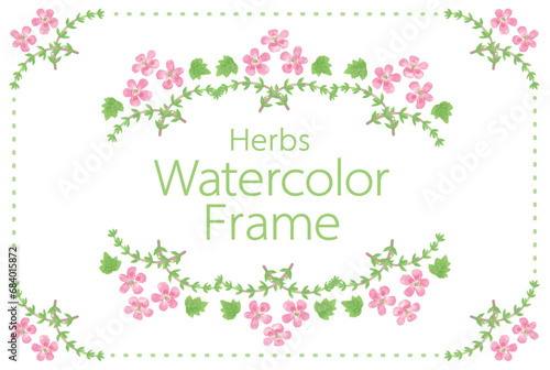 アロマに使われるハーブ・植物のイラスト・フレーム。水彩風ベクター素材