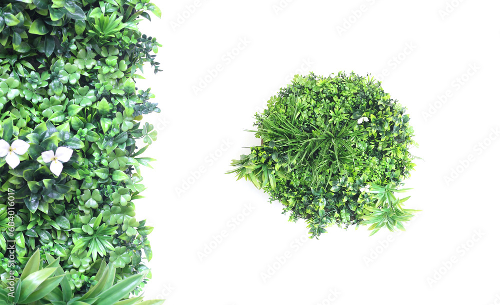 Obraz premium Plastic leaves isolated on white background