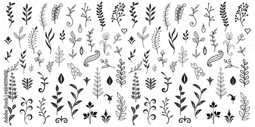 Vector graphic elements for design vector elements. Swirl elements decorative illustration. Classic calligraphy swirls, greeting cards, wedding invitations, royal certificates and graphic design.