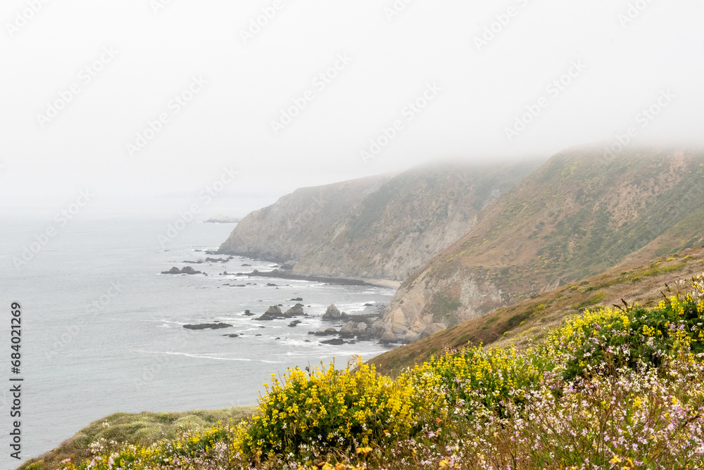 Seascape view from the Tomales Point Trail in Point Reyes National Seashore, Marin County, California, USA,  on a partly cloudy day at low tide, featuring  wildflowers and a rock 