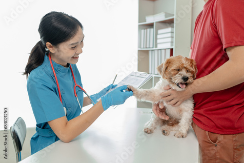 Fototapeta Naklejka Na Ścianę i Meble -  The dog's owner took the dog to the hospital to be examined by a veterinarian for the cause of his illness, There was a dog on the table and was thoroughly examined by the vet.