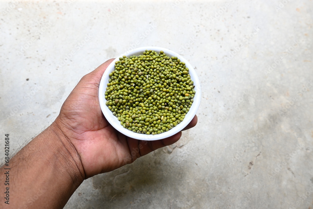 Mung bean. It's other names Vigna radiata, green gram, maash, mung