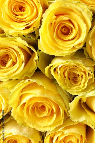 Beautiful bouquet of yellow roses as background  top view