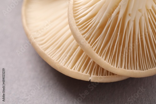 Fresh oyster mushrooms on grey background, macro view