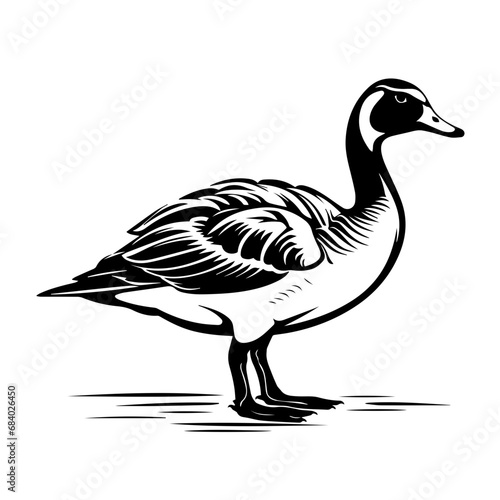 Canadian Goose