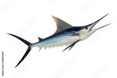 Swordfish isolated on white transparent png