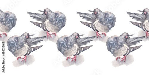 Seamless rim watercolor gray bird dove on white background. Hand-drawn pattern with pigeon for card. Wild flying animal border for sketchbook and wallpaper. Symbol peace for coloring book or frame