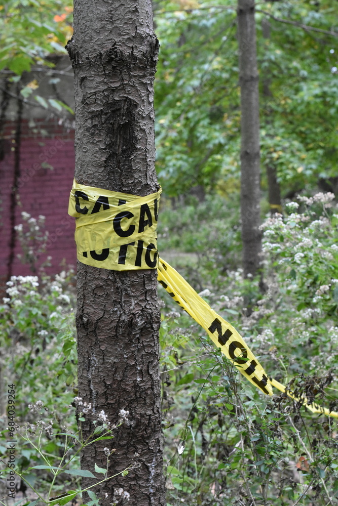 Yellow Caution Tape Wrapped Around a Tree Trunk, Bronx, New York 