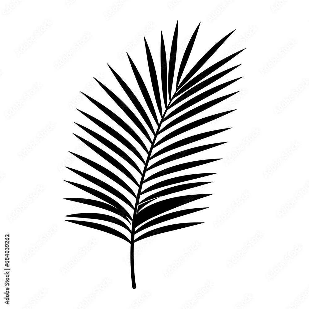 A Palm Tree Leaf Silhouette vector isolated on a white background A Palm Tree Leaf Silhouette vector isolated on a white background