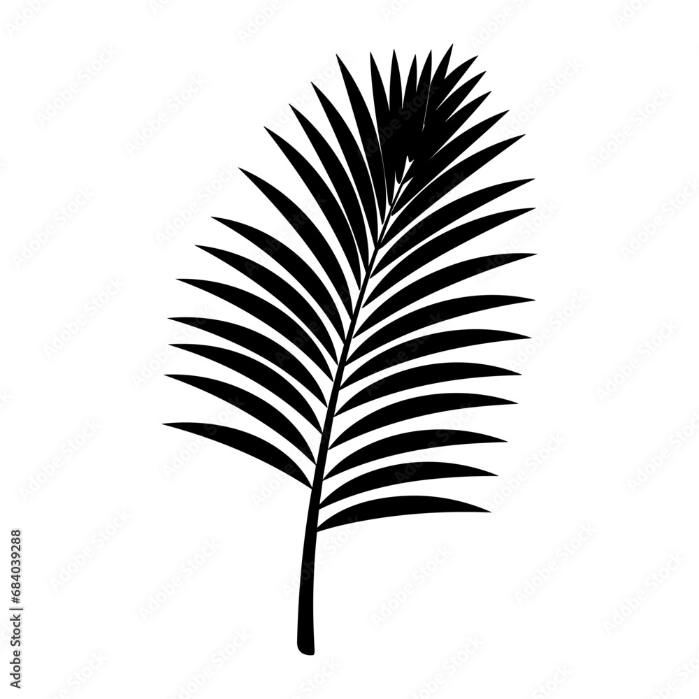 Fototapeta premium A Palm Tree Leaf Silhouette vector isolated on a white background